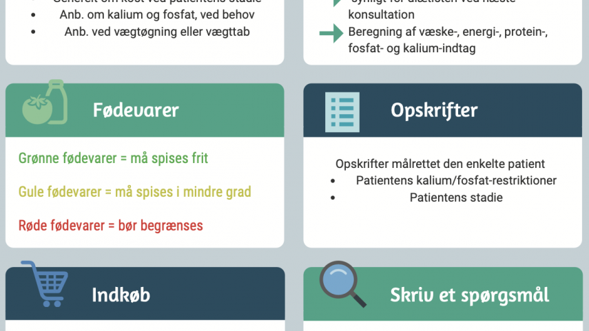 Ernæringshjemmeside til patienter med kronisk nyresygdom