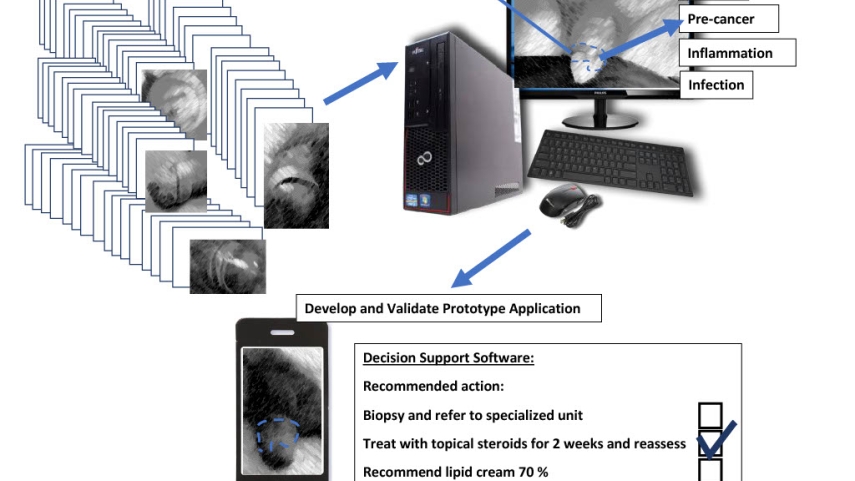 PENIMA - penile images